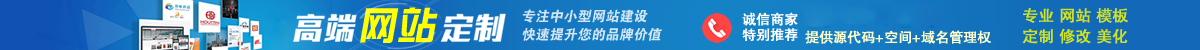 企业网站建设推广网站模板