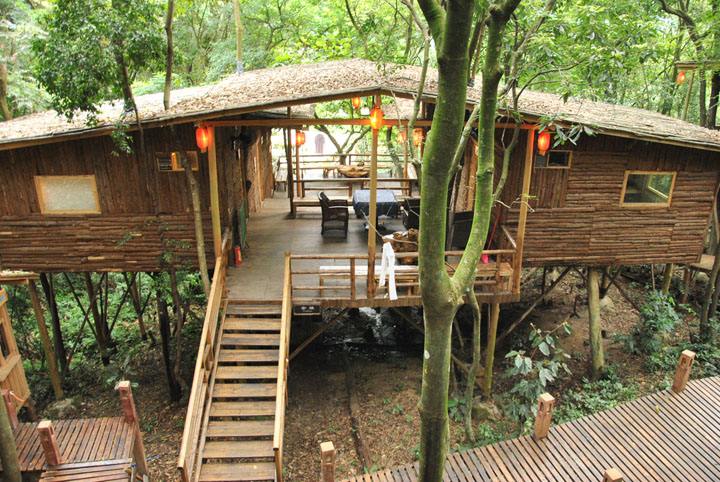 什么是树屋？看完好想住进去(图3)