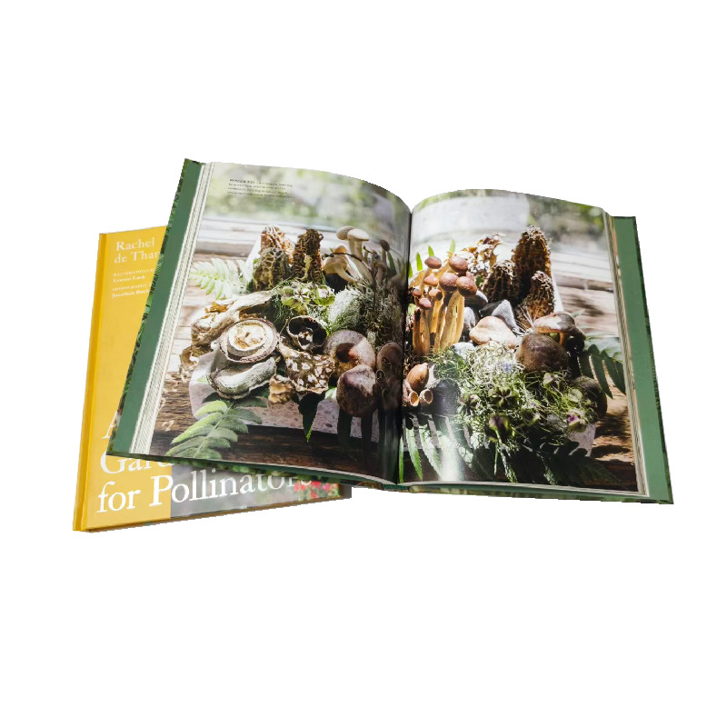 文旅景区导览画册印刷定制